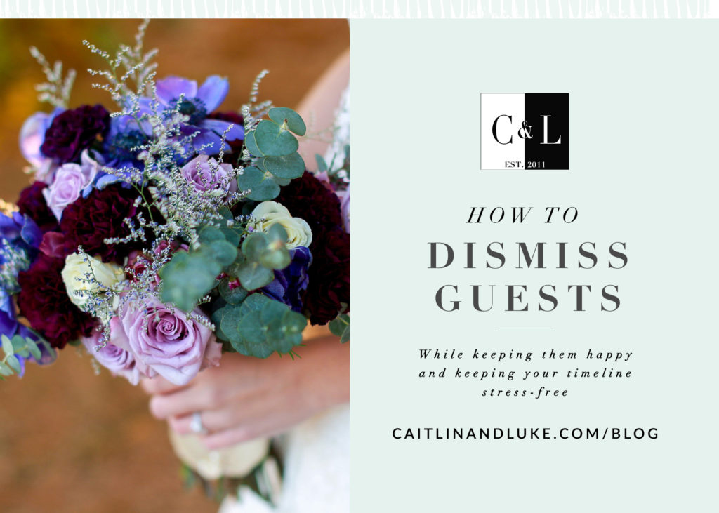 3 Simple Ways to Greet & Dismiss Wedding Guests Caitlin and Luke Photography