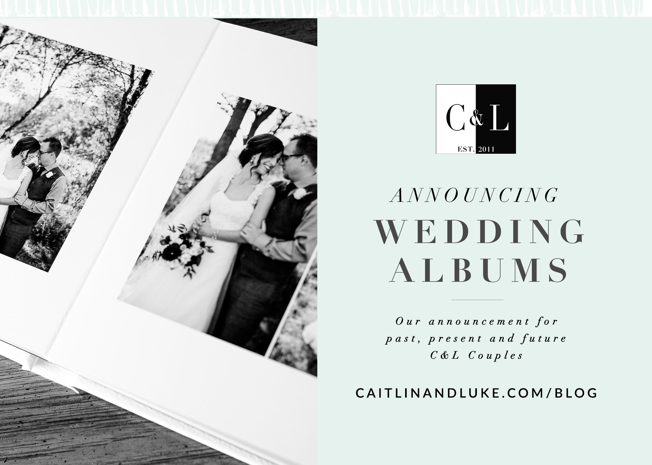 Announcing Wedding Albums