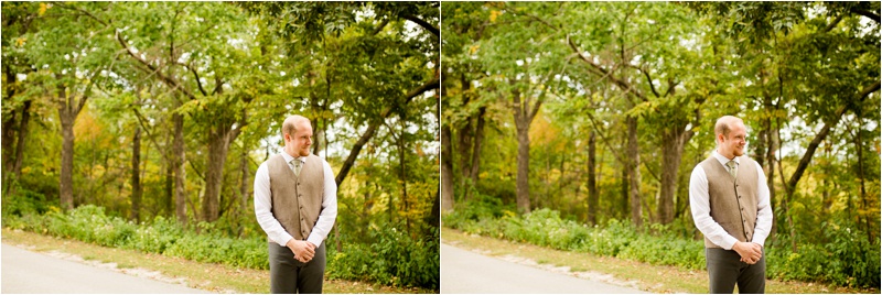 Illinois Wedding Photographer, Peoria Wedding Photographer, Donavan Park Engagement Photos_2571.jpg