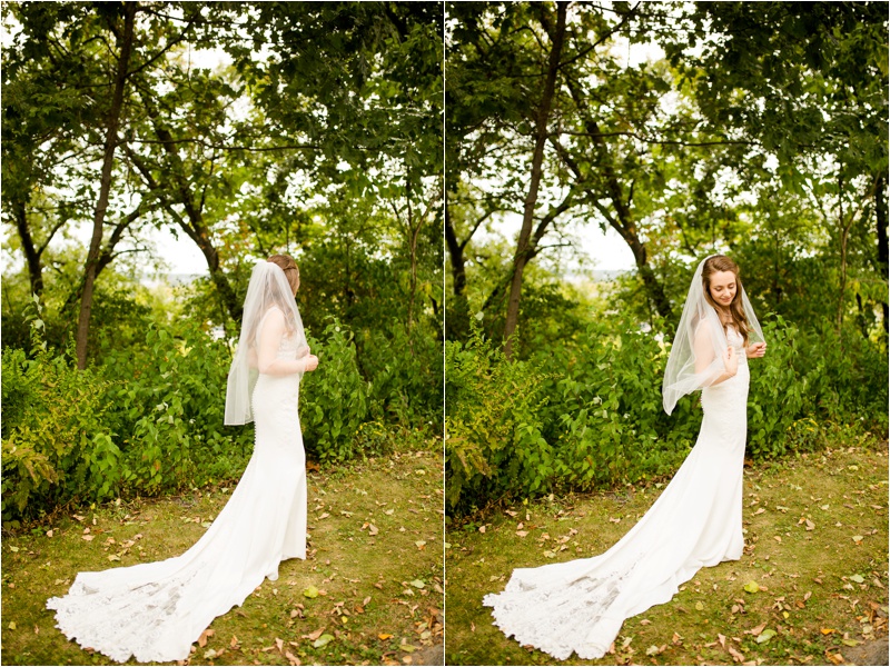 Illinois Wedding Photographer, Peoria Wedding Photographer, Donavan Park Engagement Photos_2583.jpg