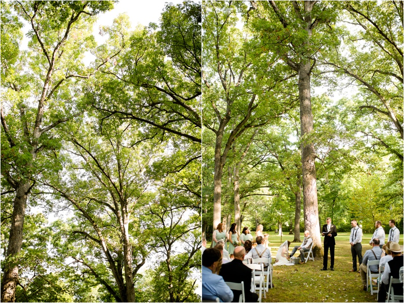 Illinois Wedding Photographer, Peoria Wedding Photographer, Donavan Park Engagement Photos_2647.jpg