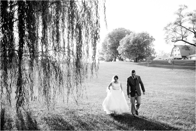 Illinois Wedding Photographer, Peoria Wedding Photographer, Donavan Park Engagement Photos_2777.jpg