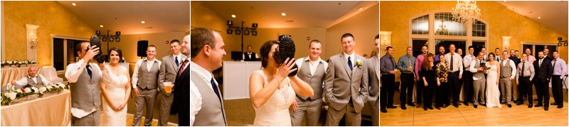 Illinois Wedding Photographer, Peoria Wedding Photographer, Metamora Fields Wedding_0237.jpg