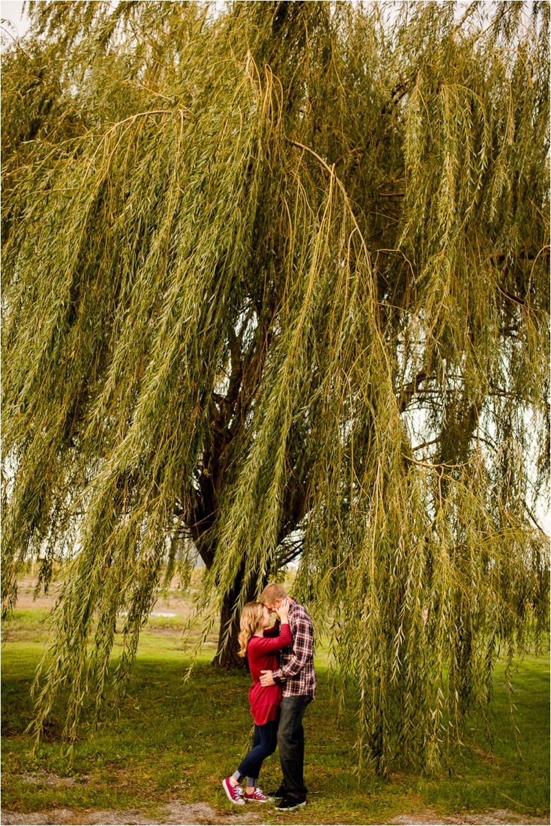 Illinois Wedding Photographer, Bloomington Wedding Photographer, Best Engagement Photos of 2017_4145.jpg