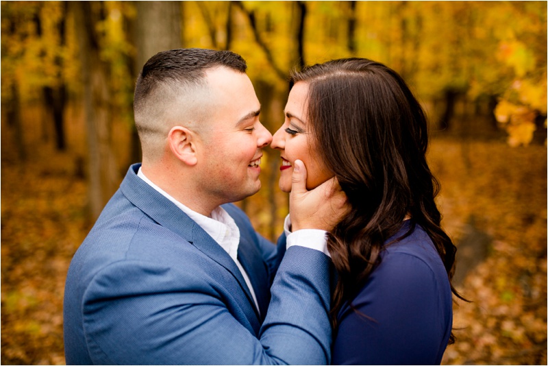 Illinois Wedding Photographer, Bloomington Wedding Photographer, Best Engagement Photos of 2017_4233.jpg