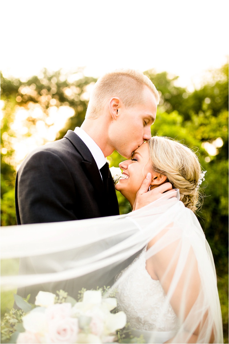 Illinois Wedding Photographer, Bloomington Wedding Photographer, Best Wedding Photos of 2017_4408.jpg