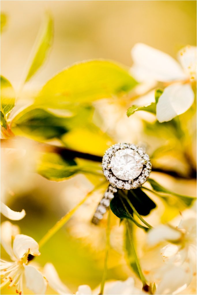 Diamond halo engagement ring set against green leaves and white blossoms with soft natural light