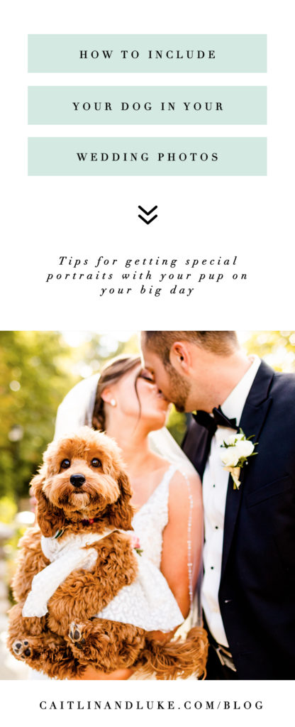 How to include your dog in your wedding photos
