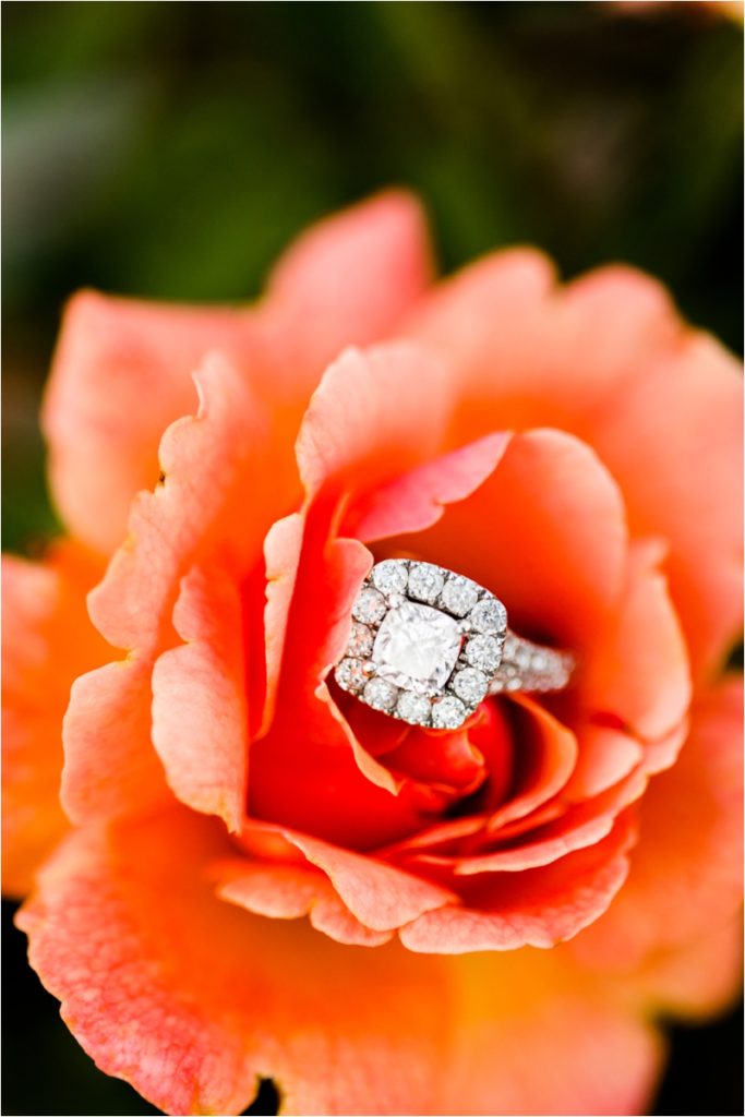 Caitlin-and-Luke-Photography-Illinois-Wedding-Photographers-Chicago-Wedding-Photographers-Illinois-Husband-and-Wife-Wedding-Photography-Team_8911-683x1024 Premium Engagement Photography - Unmatched Client Experience