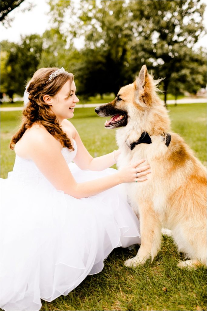 A joyful photo of a bride in her wedding dress sitting on grass and interacting with a large fluffy dog wearing a black bowtie collar. The dog appears to be a mixed breed with tan/golden coloring.