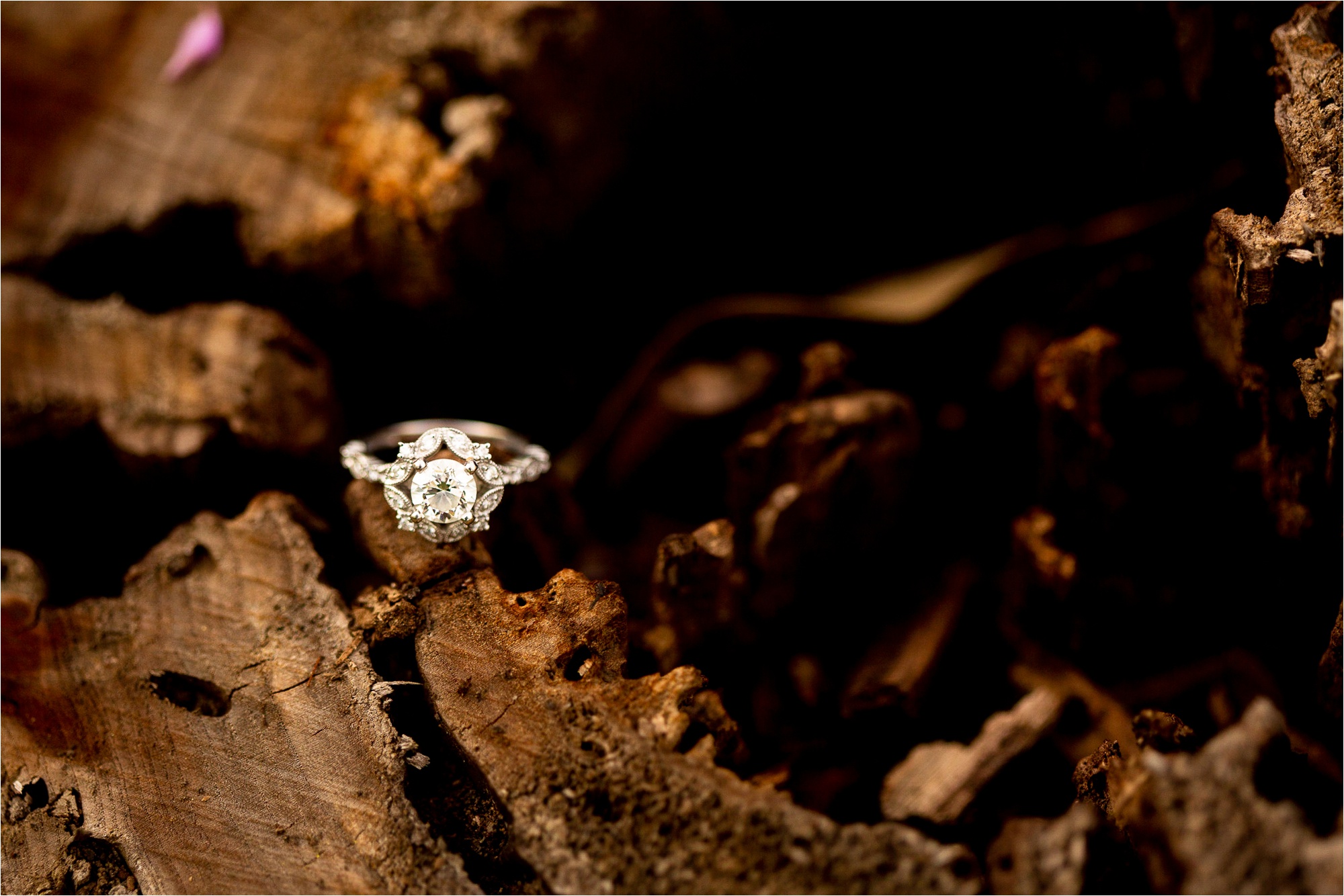 Caitlin and Luke Photography, Illinois Wedding Photographers, Bloomington Normal Wedding Photographers, Springfield Illinois Engagement Photos, Springfield Illinois Wedding Photographers_9838.jpg