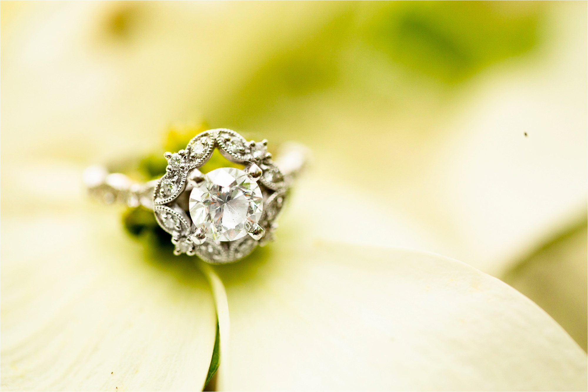 Caitlin and Luke Photography, Illinois Wedding Photographers, Bloomington Normal Wedding Photographers, Springfield Illinois Engagement Photos, Springfield Illinois Wedding Photographers_9845.jpg
