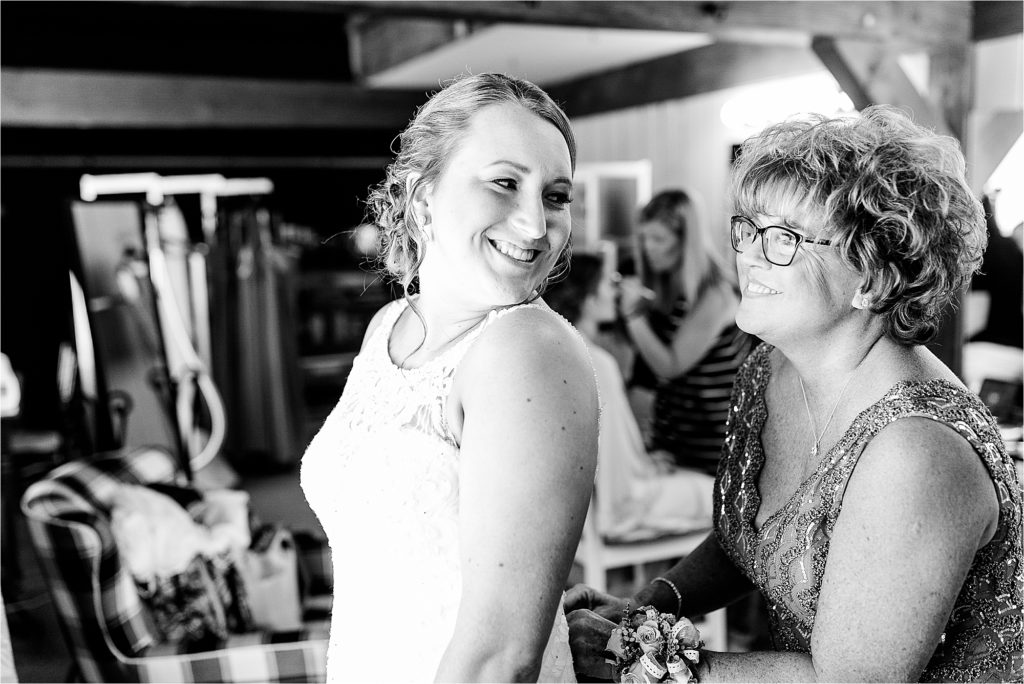 Caitlin and Luke Photography, Bloomington Illinois Wedding Photographers, Illinois Wedding Photographers, The Barn III Wedding Photos