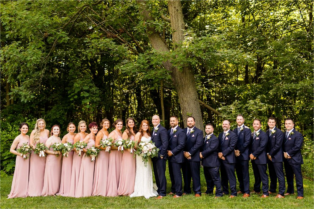 Caitlin and Luke Photography, Naperville Illinois Wedding Photographers, Illinois Wedding Photographers, Noah's Event Venue Wedding Photos, McDowell Nature Preserve Wedding Photos