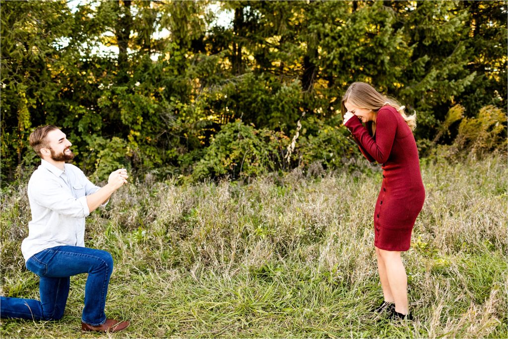 A man proposes on one knee in a grassy field as his emotional partner in a red dress reacts with joy—an ideal engagement moment for CloudSpot vs Pixieset comparison.