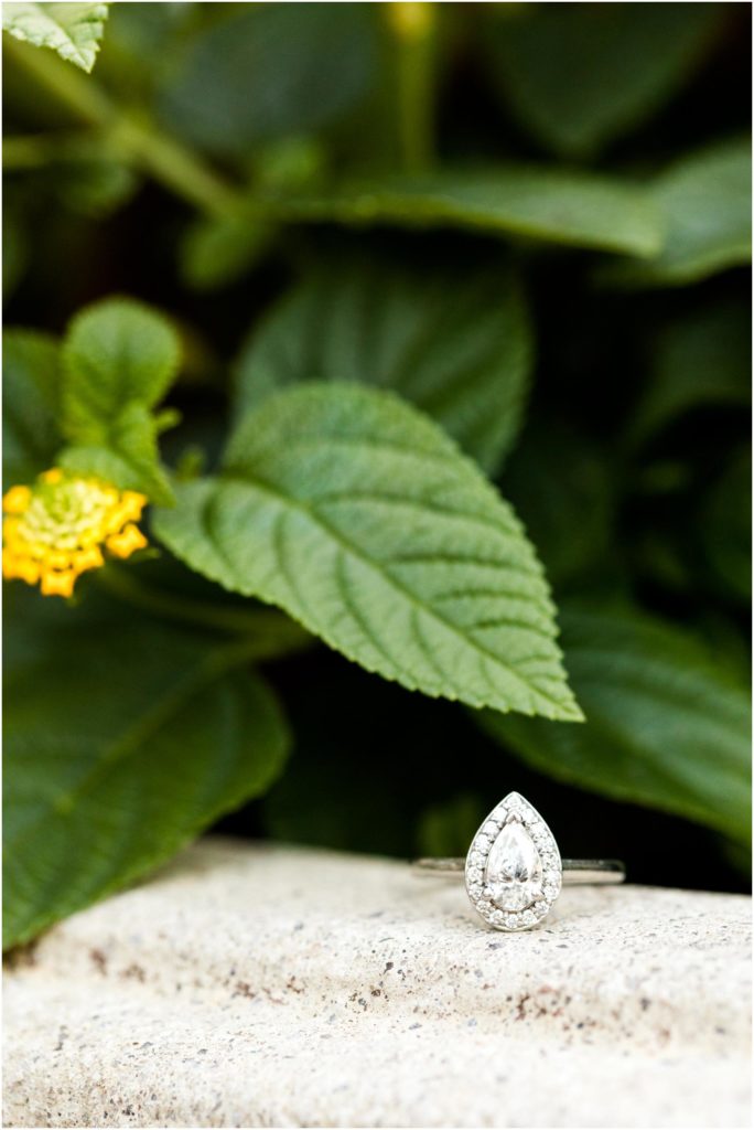 wedding ring on plants at Ewing Manor photographed by Caitlin and Luke Photography, Ewing Manor Engagement Photos, Illinois engagement session