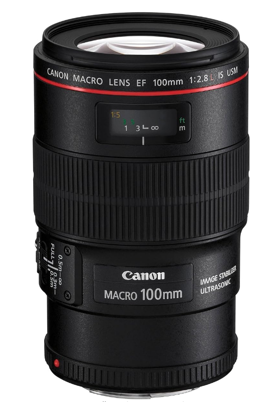 A photo of a Canon EF 100mm f/2.8L Macro IS USM lens