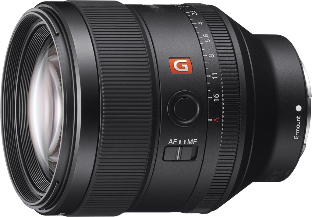 810yJIN08CL._AC_-1024x713 Best Lens for Portraits: Our Top Picks