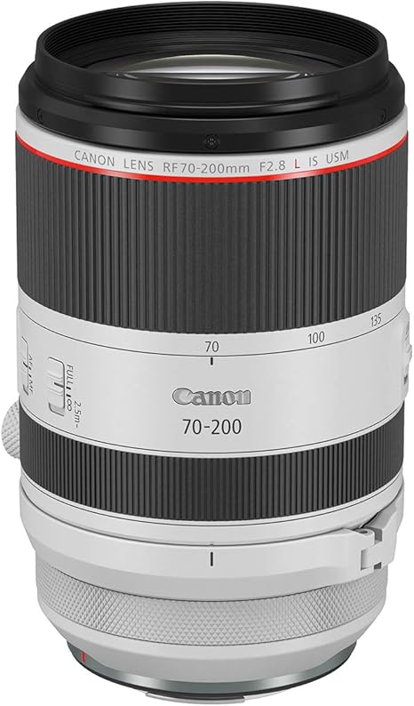 61L-pRPjxtL._AC_SX466_ Expert-Recommended Lenses for Engagement Photos