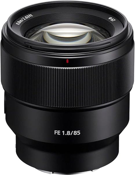 61QgAvxONmS._AC_SX466_ Expert-Recommended Lenses for Engagement Photos
