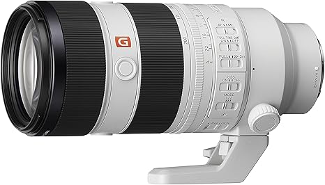 717RcUkSSWL._AC_SX466_ Expert-Recommended Lenses for Engagement Photos