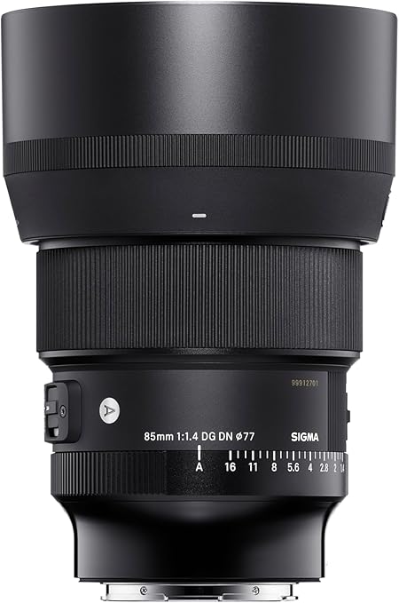71BoVhdEZCL._AC_SY679_ Expert-Recommended Lenses for Engagement Photos