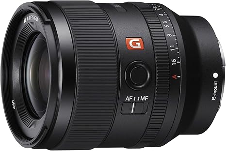 71FHiVPpV6L._AC_SX466_ Expert-Recommended Lenses for Engagement Photos